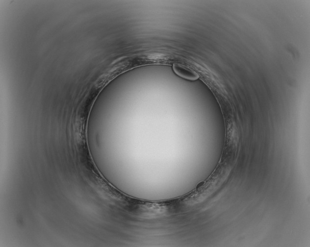 X0000112720421200909031421