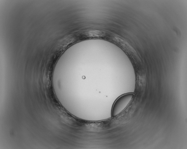 X0000112720422200909031421