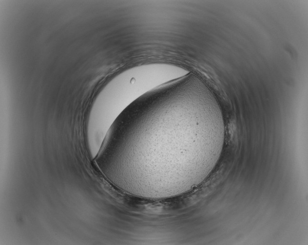 X0000112720423200909031421