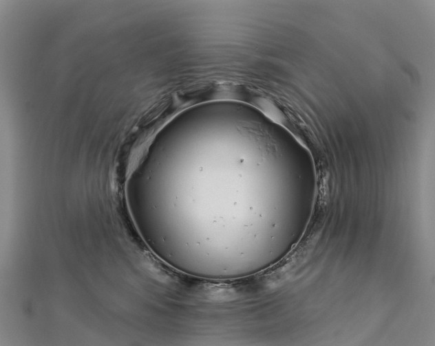 X0000112720424200909031421