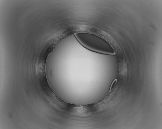 X0000112720425200909031421