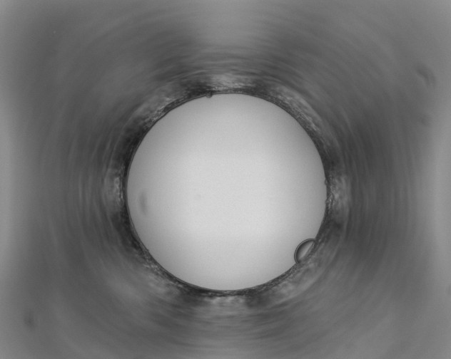 X0000112720426200909031421