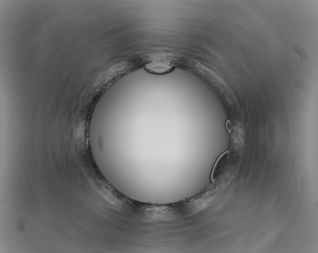 X0000112720428200909031420