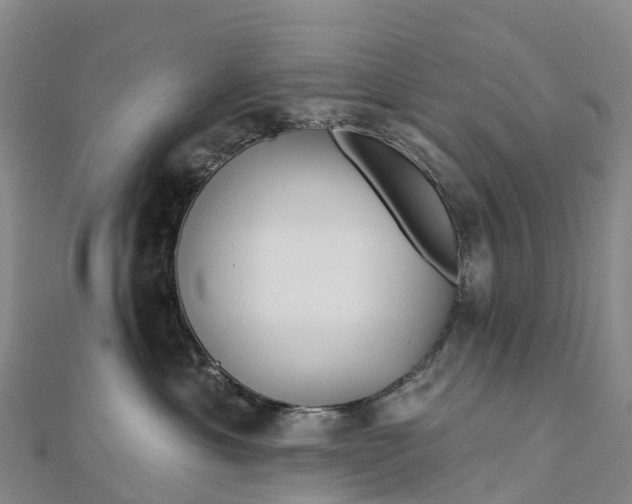 X0000112720429200909031420