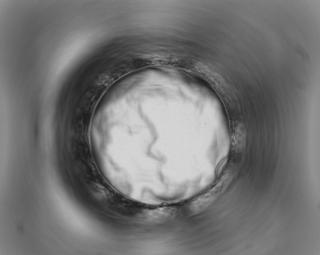 X0000112720430200909031420