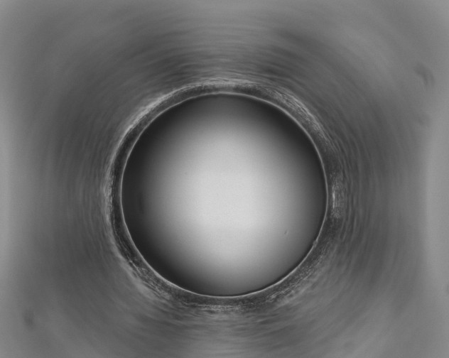 X0000112720436200909031420