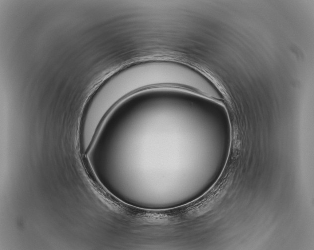 X0000112720437200909031420