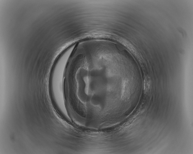 X0000112720438200909031420