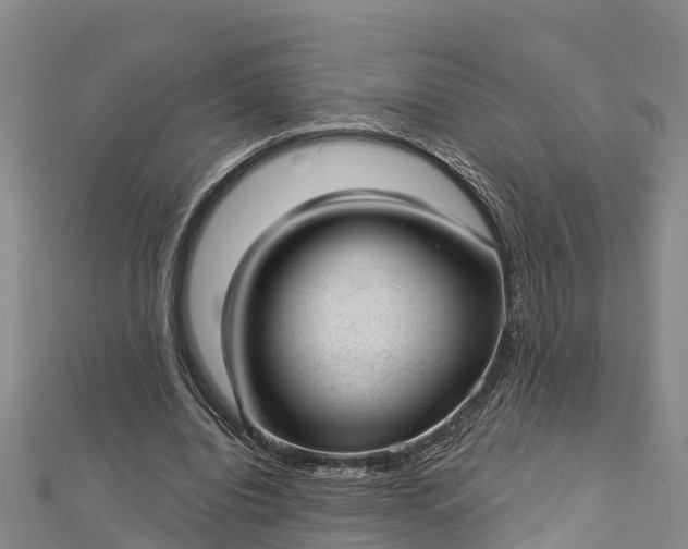 X0000112720440200909031420