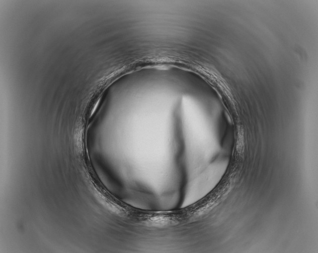 X0000112720441200909031420