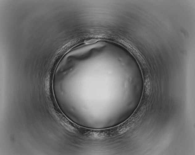 X0000112720442200909031420