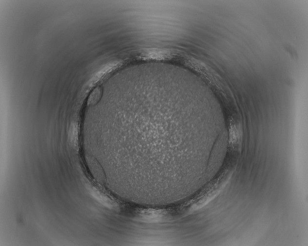 X0000112720444200909031420