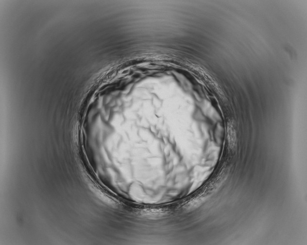 X0000112720445200909031420