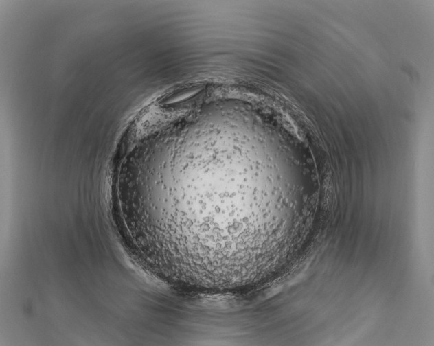 X0000112720446200909031420