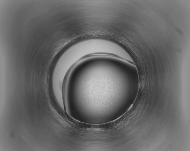 X0000112720448200909031420