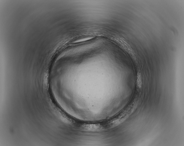 X0000112720449200909031420