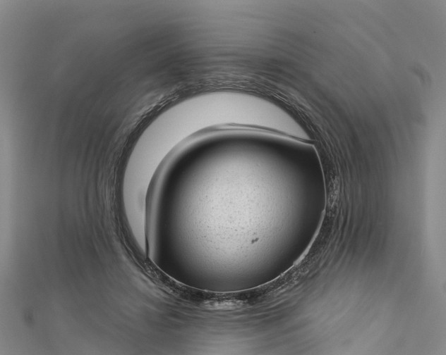 X0000112720452200909031420