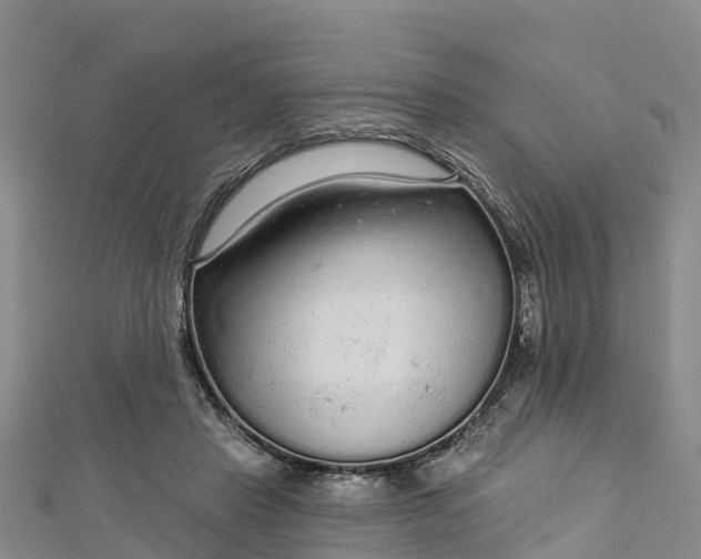 X0000112720453200909031420