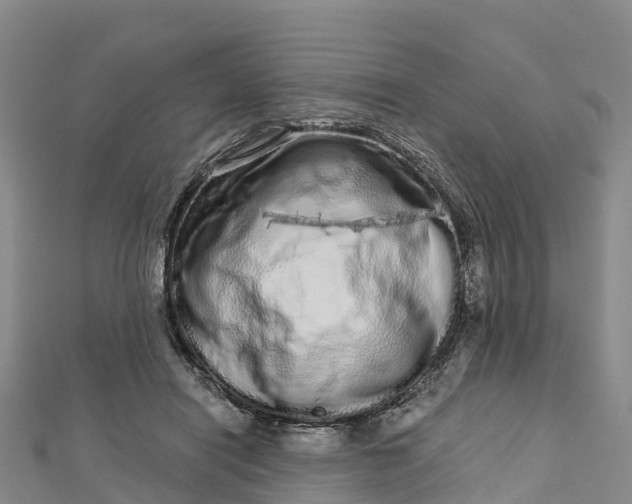 X0000112720454200909031420