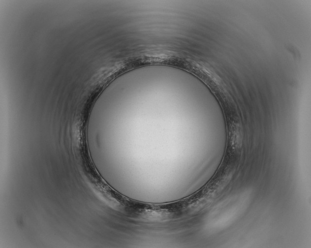 X0000112720455200909031420