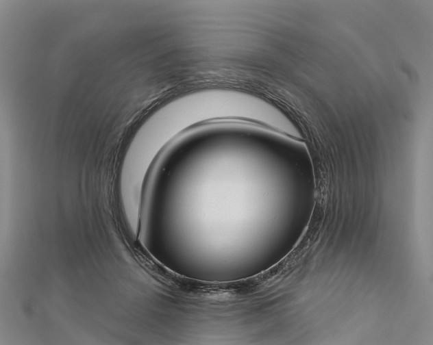 X0000112720456200909031420