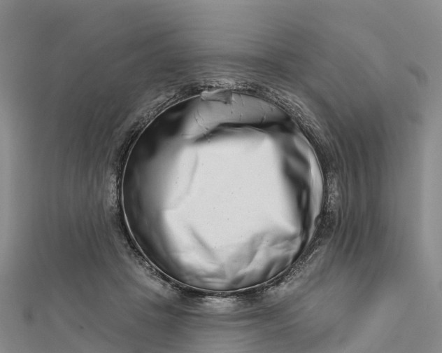 X0000112720457200909031420