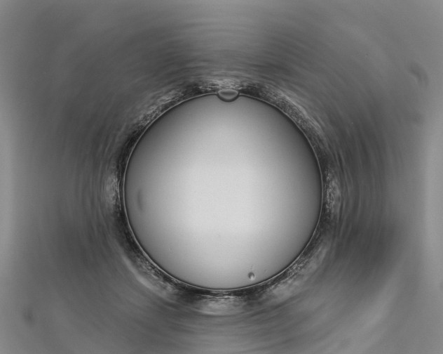 X0000112720459200909031420