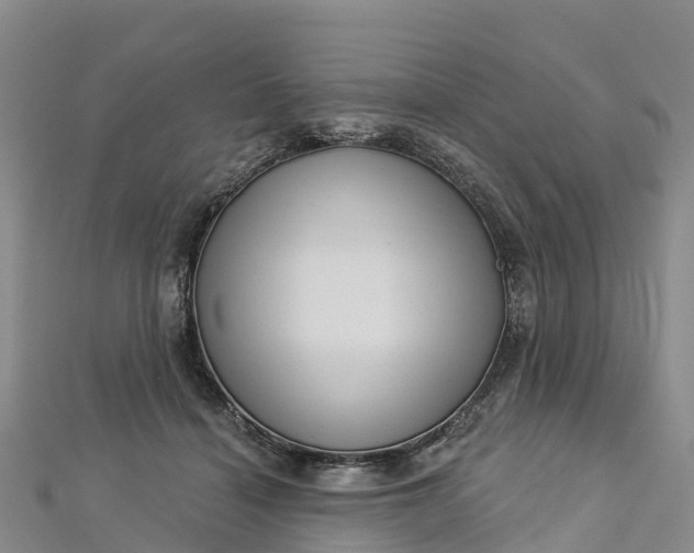 X0000112720460200909031420