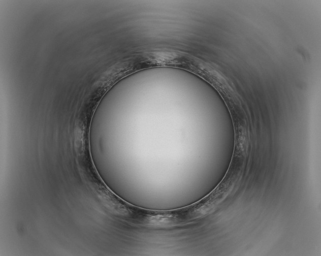 X0000112720461200909031420