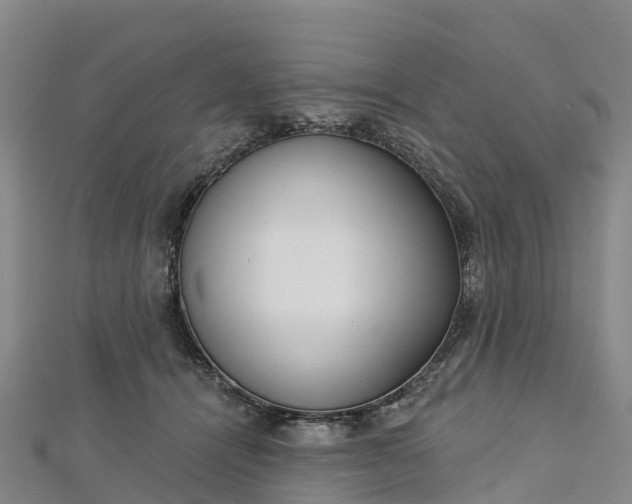 X0000112720464200909031420