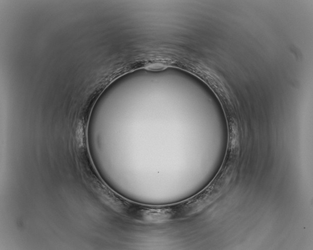 X0000112720465200909031420