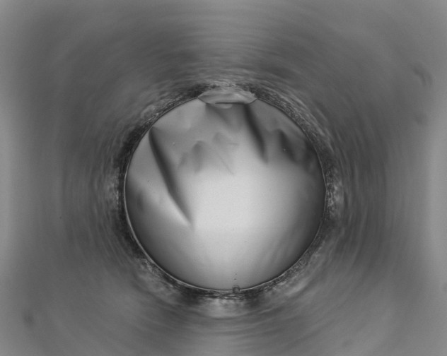 X0000112720466200909031420