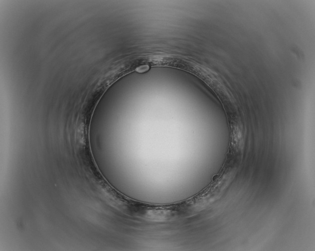 X0000112720470200909031420