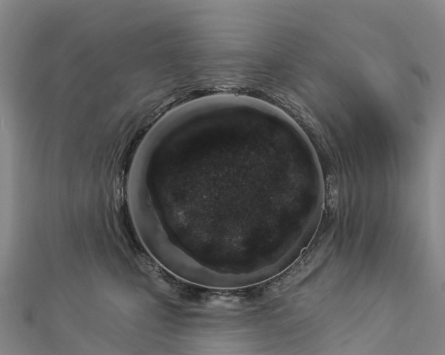 X0000112720471200909031420