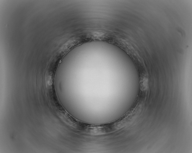 X0000112720472200909031420