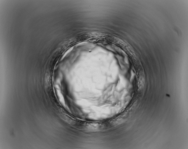 X0000112720473200909031420