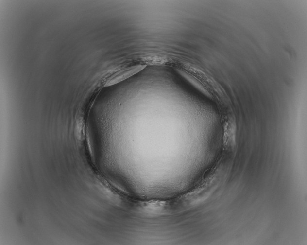 X0000112720474200909031420