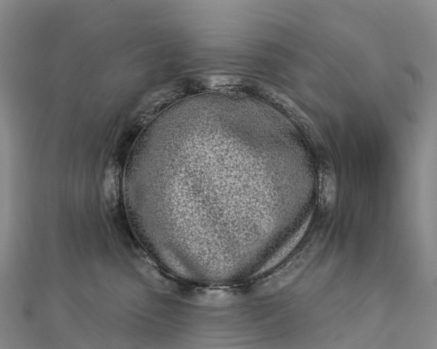 X0000112720475200909031420