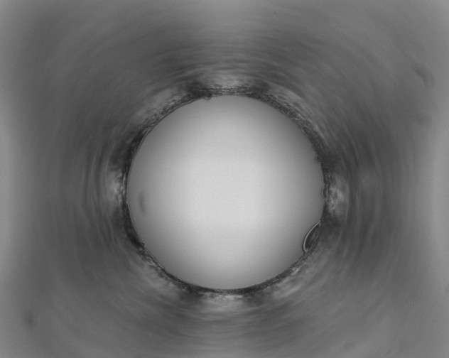 X0000112720476200909031420