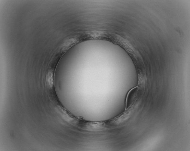 X0000112720479200909031420