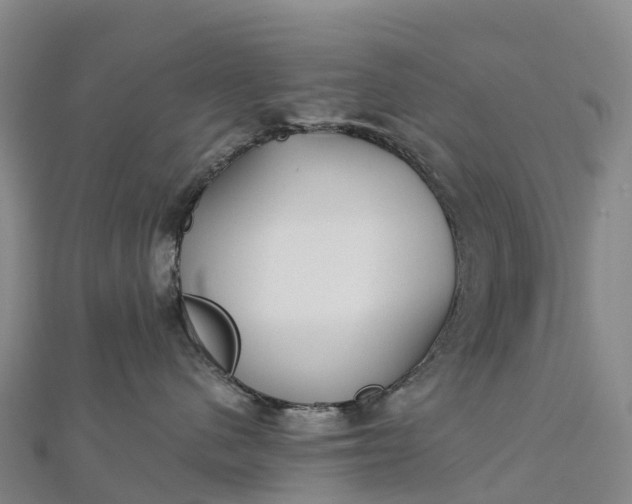 X0000112720480200909031420