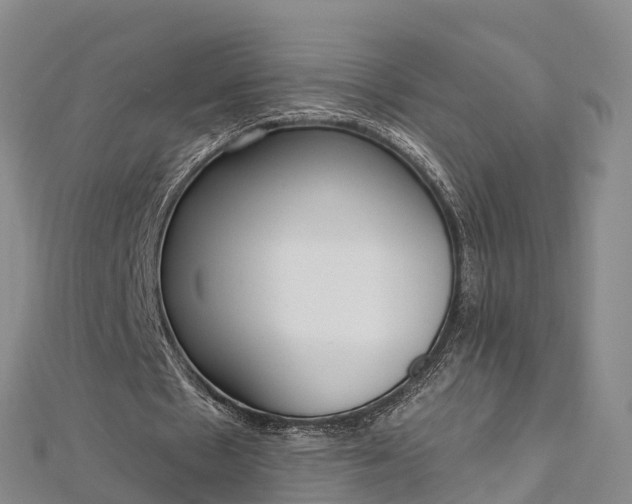 X0000112720481200909031420