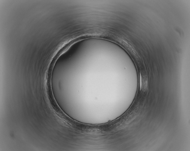 X0000112720483200909031420