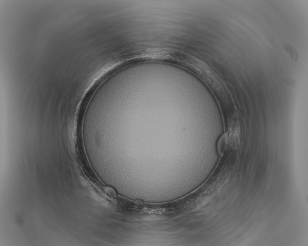 X0000112720484200909031420