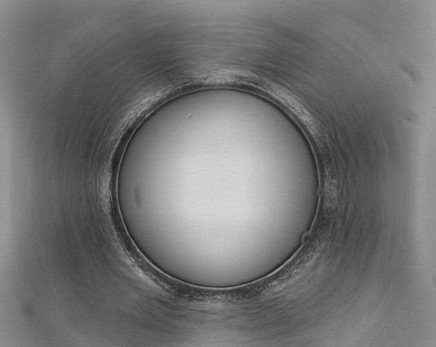 X0000112720485200909031420