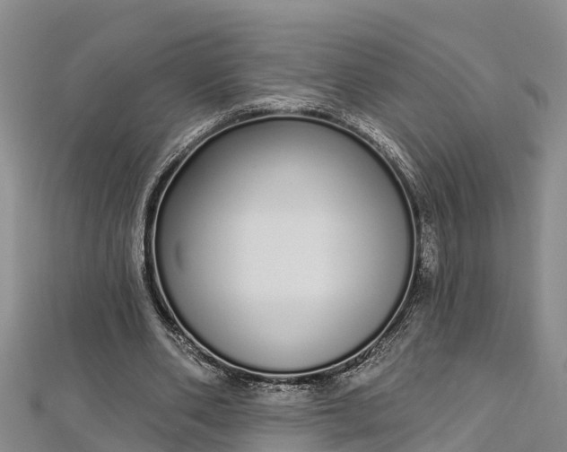 X0000112720486200909031420