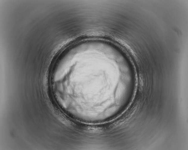 X0000112720487200909031420