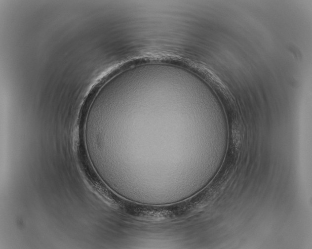 X0000112720488200909031420