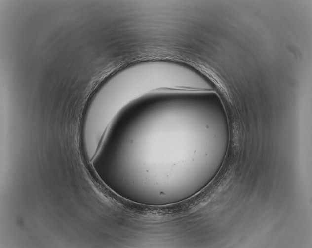 X0000112720489200909031420