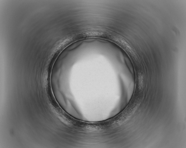 X0000112720490200909031420